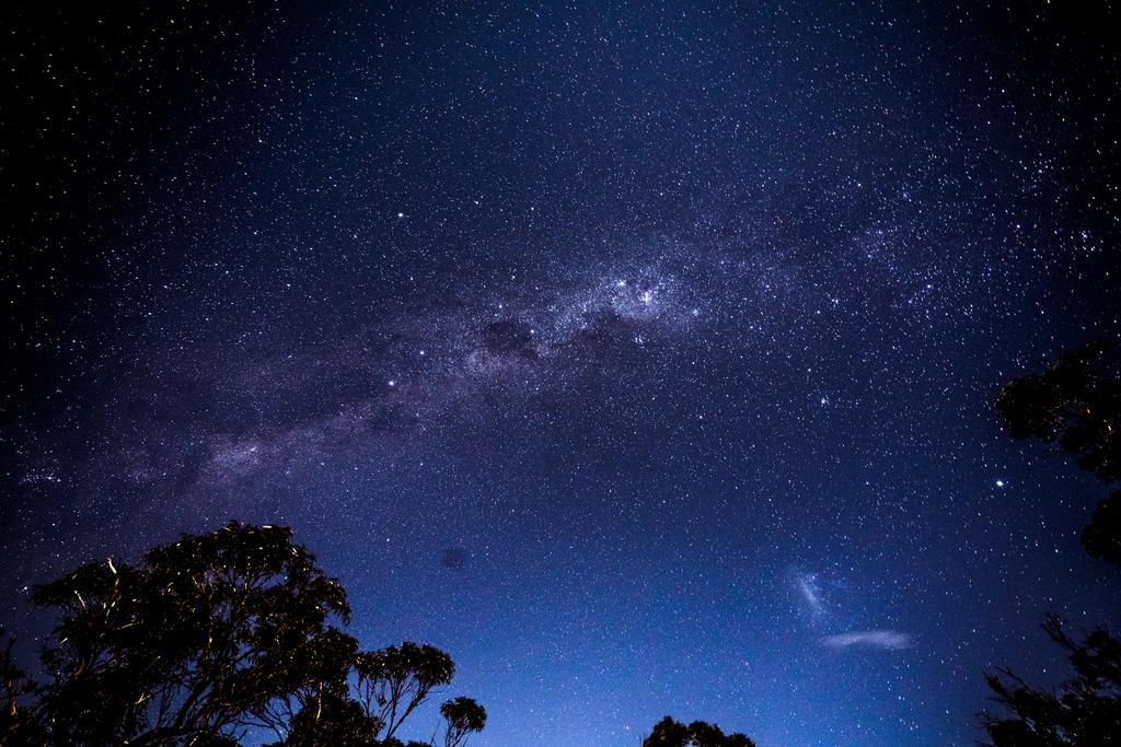 Glenella Guesthouse ブラックヒース エクステリア 写真